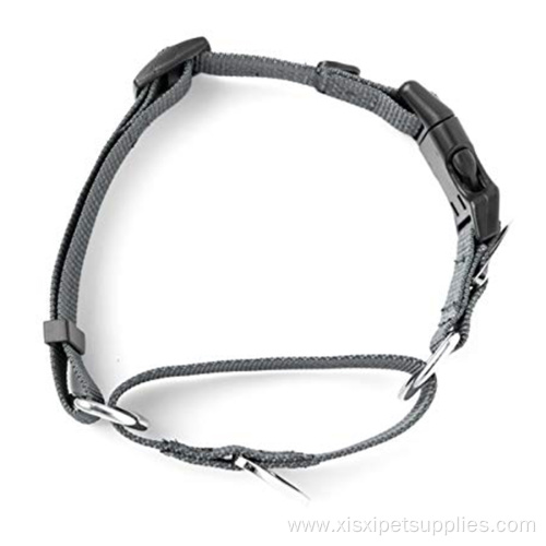 Wholesale Solid Separately Heavy Duty Strong Dog Collar